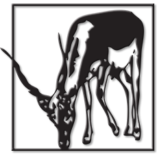 Texas Hunting Ranch for Sale 115 Acres | Kimble County, Texas