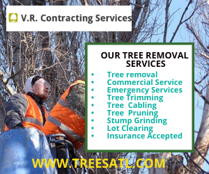Tree Cutting In Loganville | Tree Removal Services