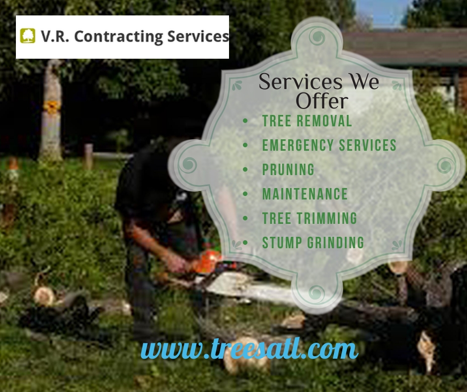 Tree on House Removal In Decatur | Tree Removal Services