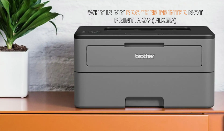 Why Is My Brother Printer Not Printing? (FIXED)