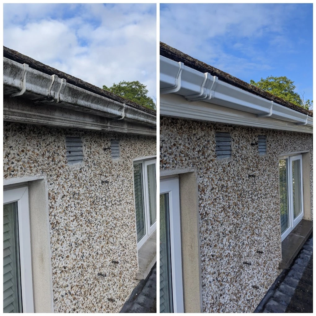 The Importance of Regular Gutter Cleaning for a Well-Maintained Home
