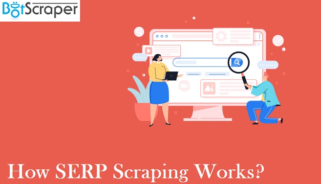 All You Need To Know About Scraping Bot