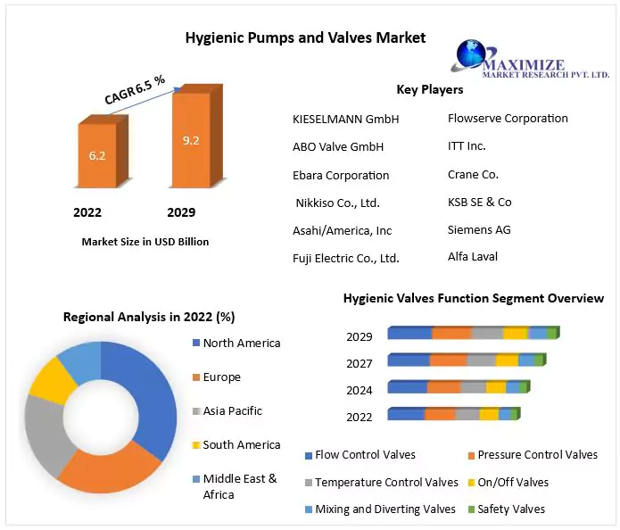"Flowing Success: Hygienic Pumps and Valves Market Analysis and Outlook 2029"