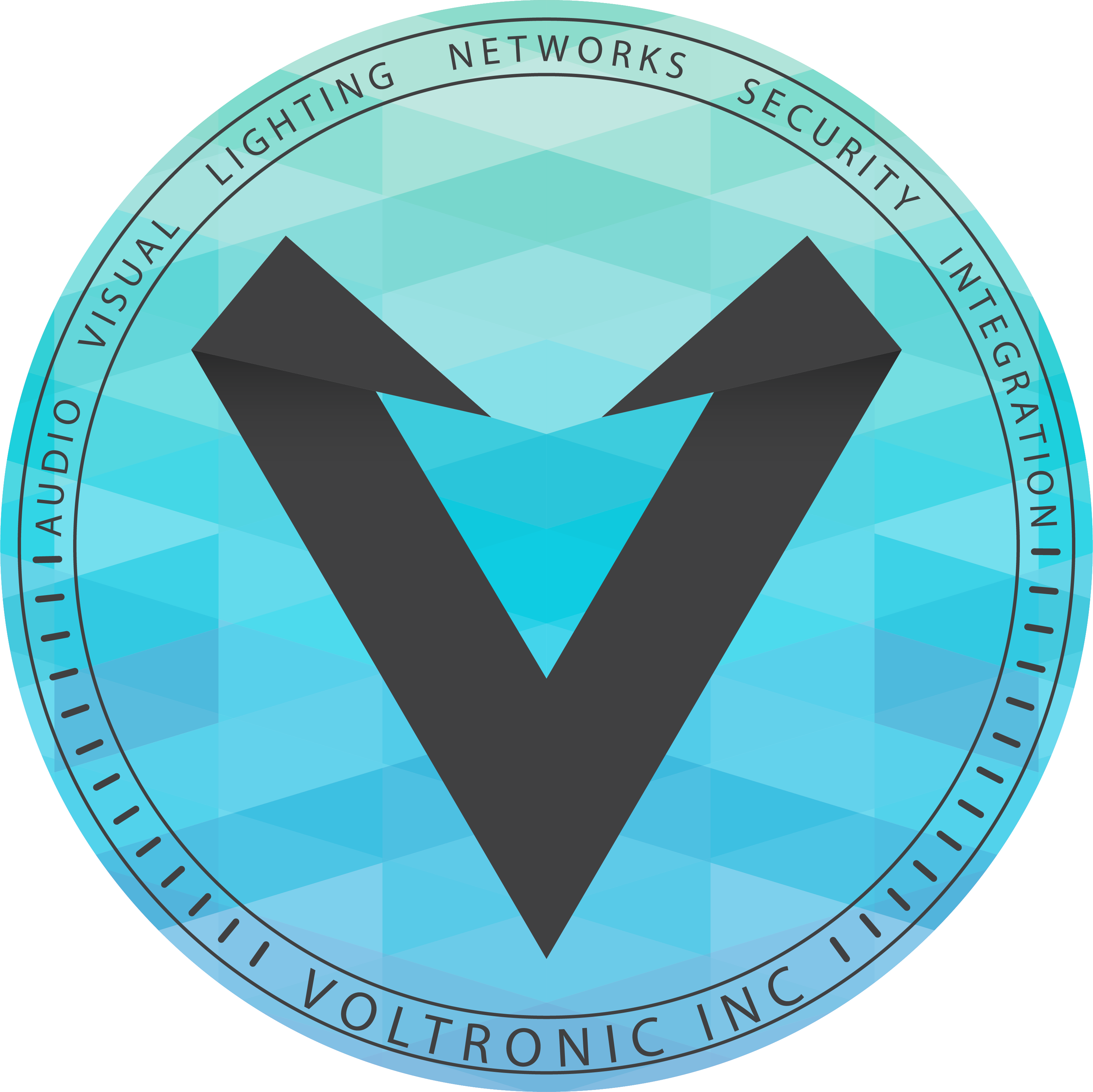 Who We Are - Voltronic