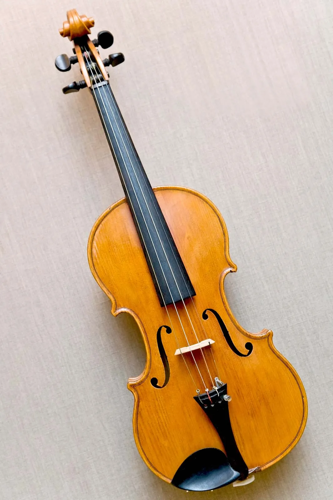 Master the Strings: Discover Professional Violin Lessons Near Me in Calgary!!.
