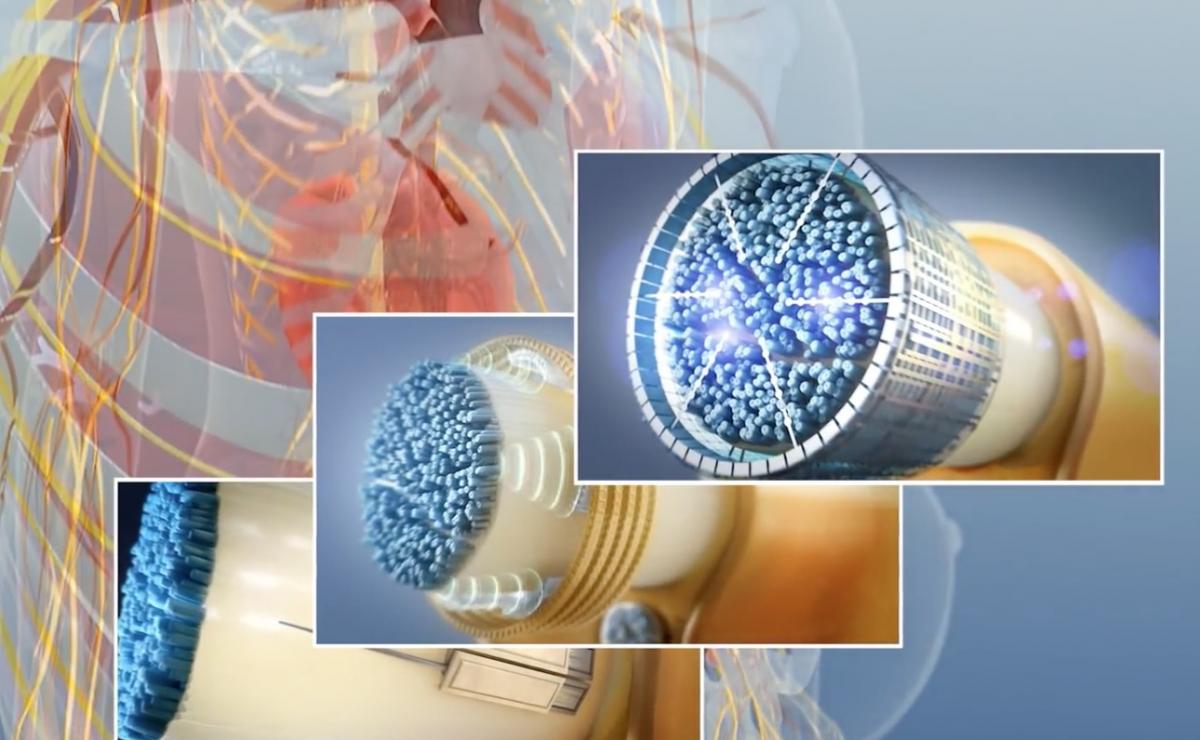 Neuromodulation and Bioelectric Medicine: Innovations in Pain Management