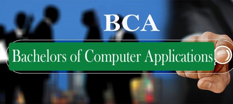 WHAT ARE THE CAREER ROLES AVAILABLE FOR BCA (PROFESSIONAL) STUDENTS?  