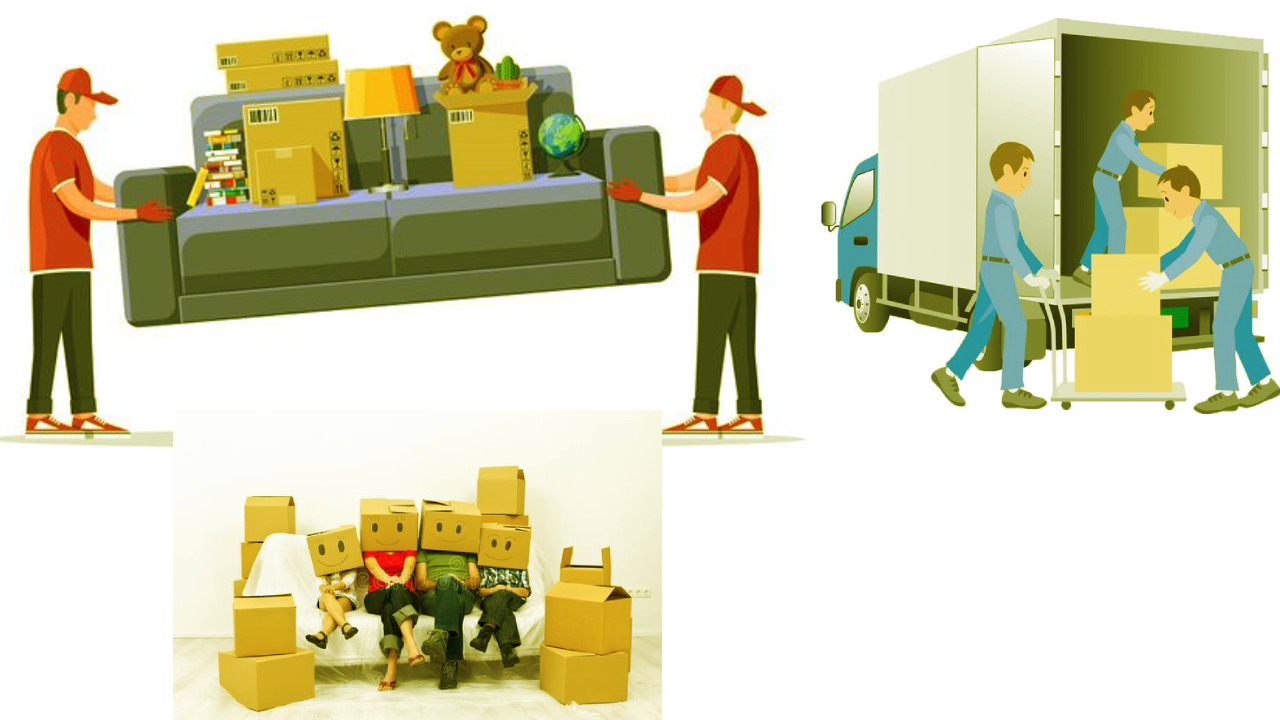 local packers near me