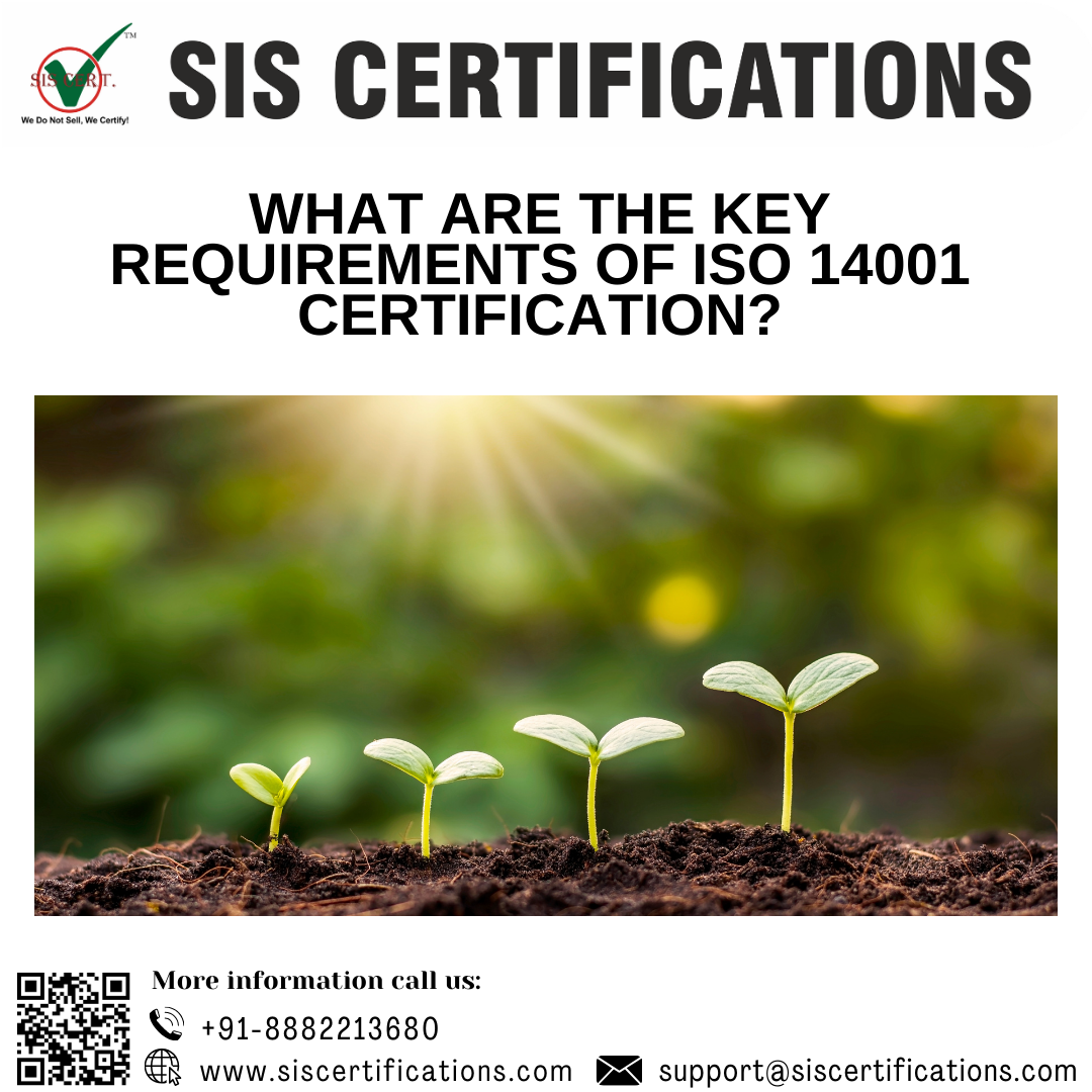 What are the key requirements of ISO 14001 Certification? 