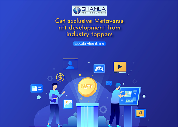 TOP REASONS TO GET METAVERSE NFT DEVELOPMENT FOR YOUR BUSINESS!