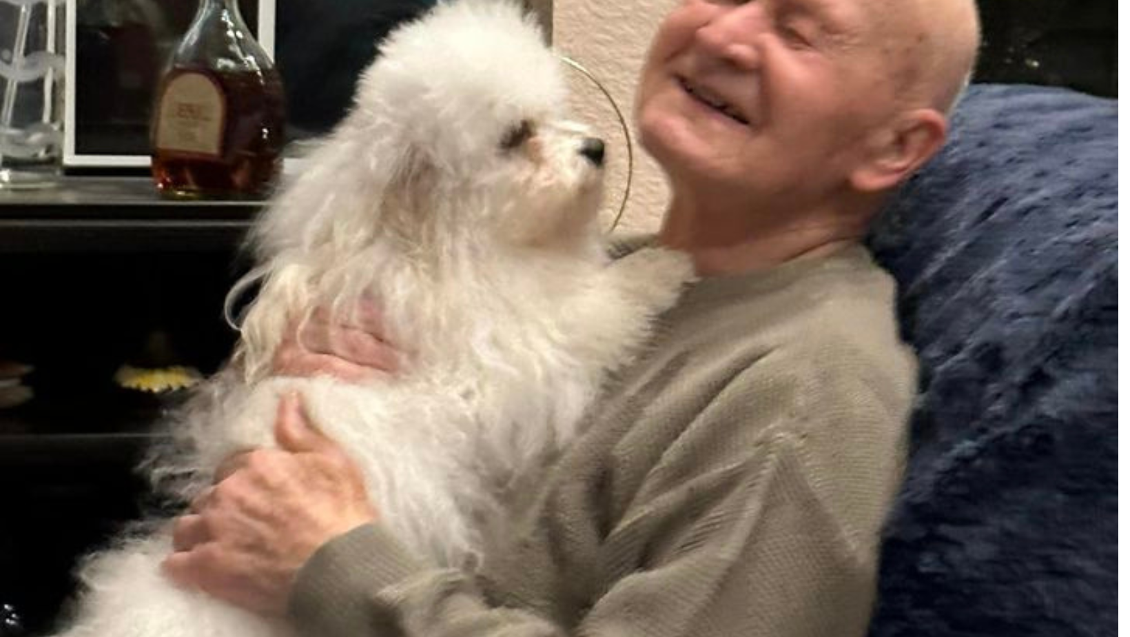 What is good about Bolognese