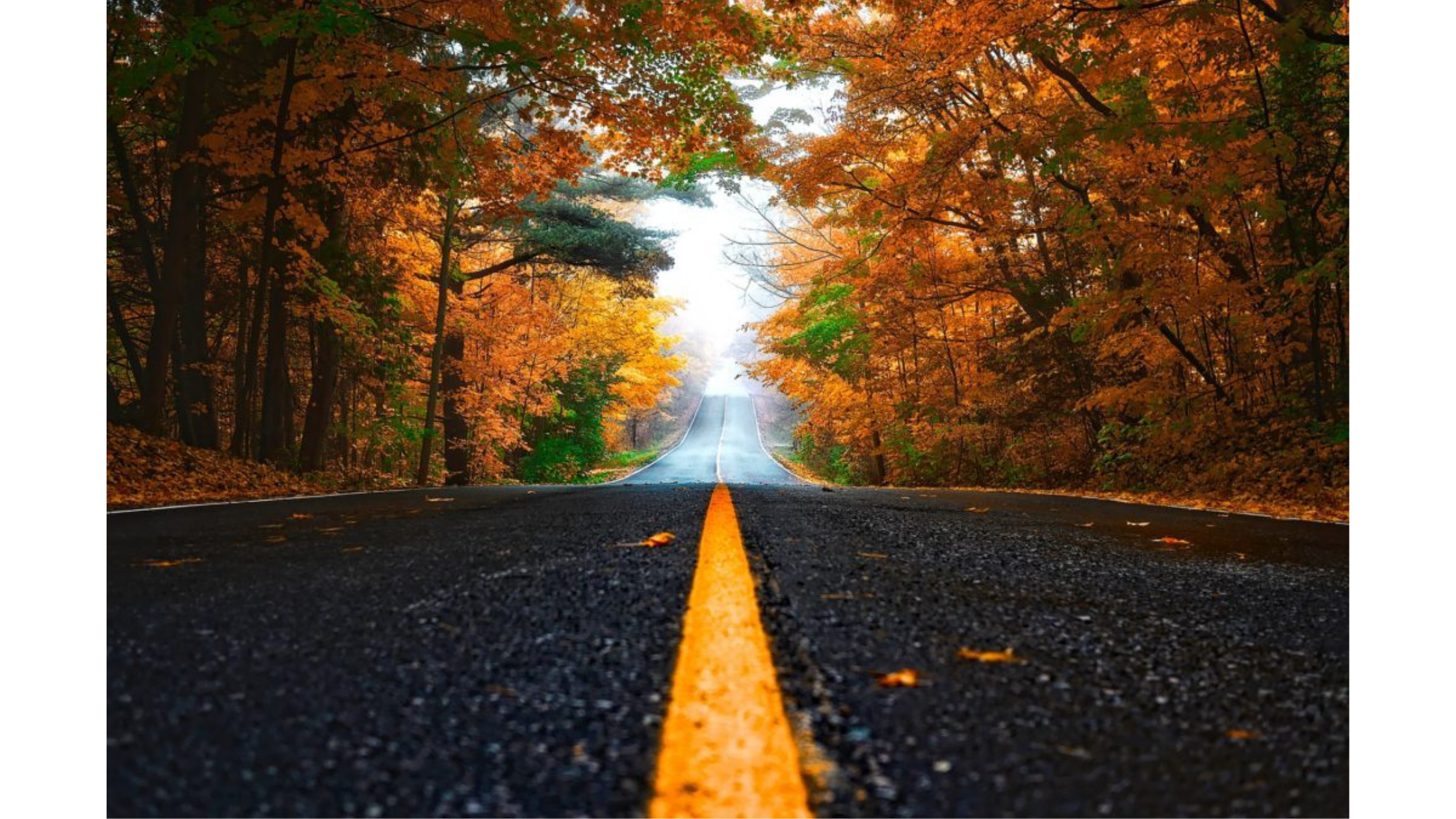 Written Driving Test Practice: Prepare for A Driver's Test Confidently