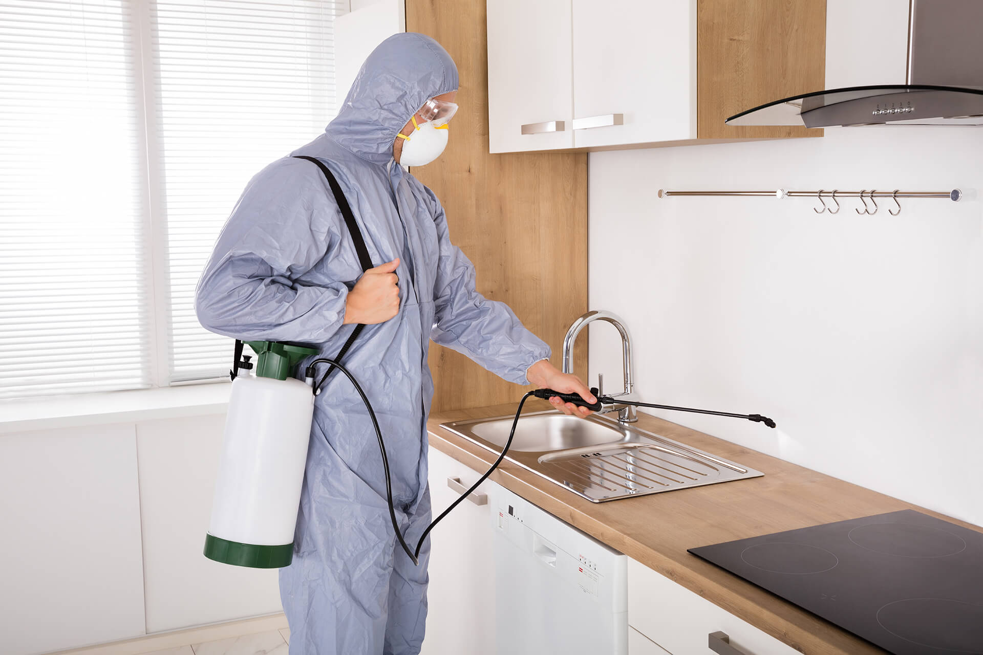 Guide to Choosing the Best Pest Control Services