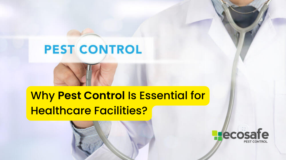 Why Pest Control Is Essential for Healthcare Facilities?