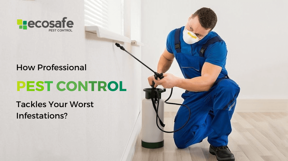 How Professional Pest Control Tackles Your Worst Infestations?
