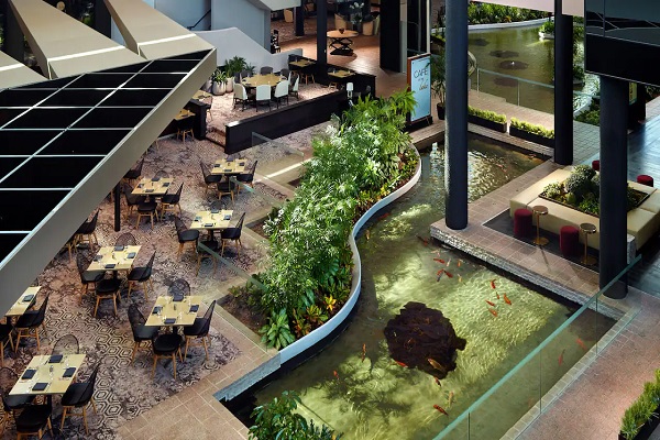 An Expert Guide to Booking Pet-Friendly Hotels in Seattle!