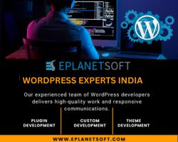 WORDPRESS EXPERTS INDIA