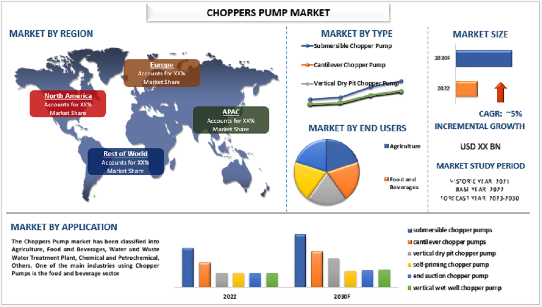 Chopper Pumps Market Size, Share, Trends 2030 - Industry Growth Analysis