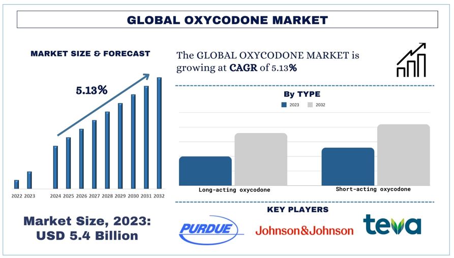 Oxycodone: Understanding a Controversial Painkiller with Market Enrichment