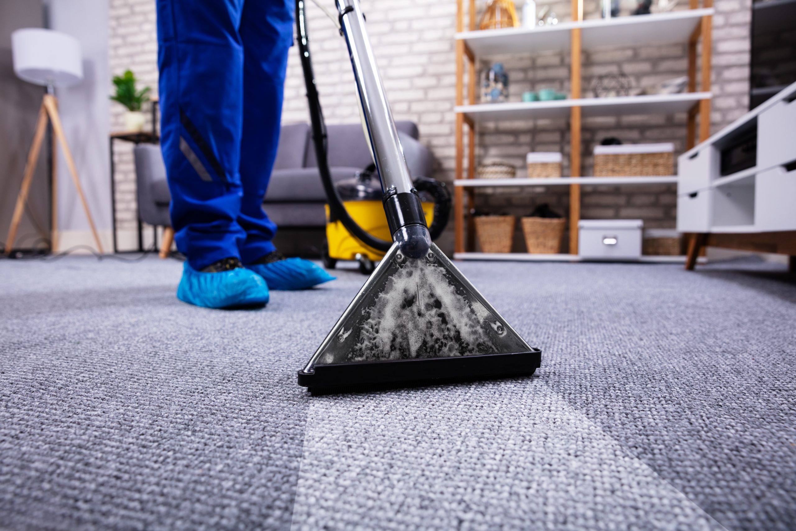 Carpet Steam Cleaning Method Is the Best of All