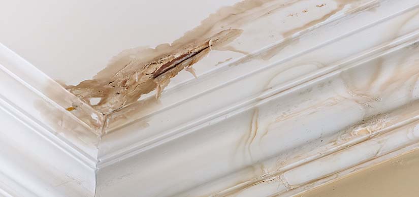 5 Crucial Warning Signs of Slab Leak Problems: Act Now