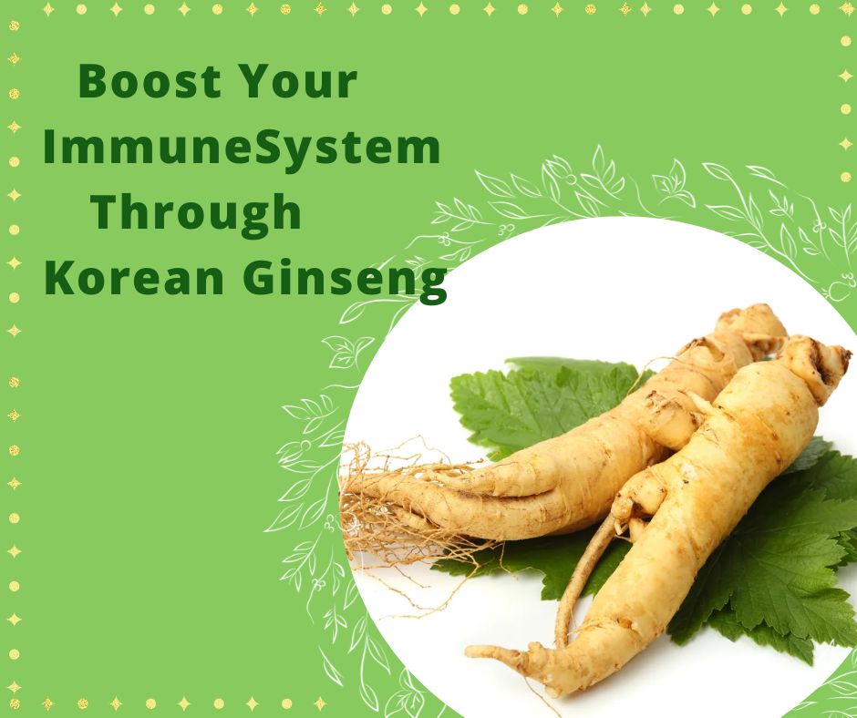 Korean Ginseng and Immune System Modulation: Boosting Your Body's Defenses