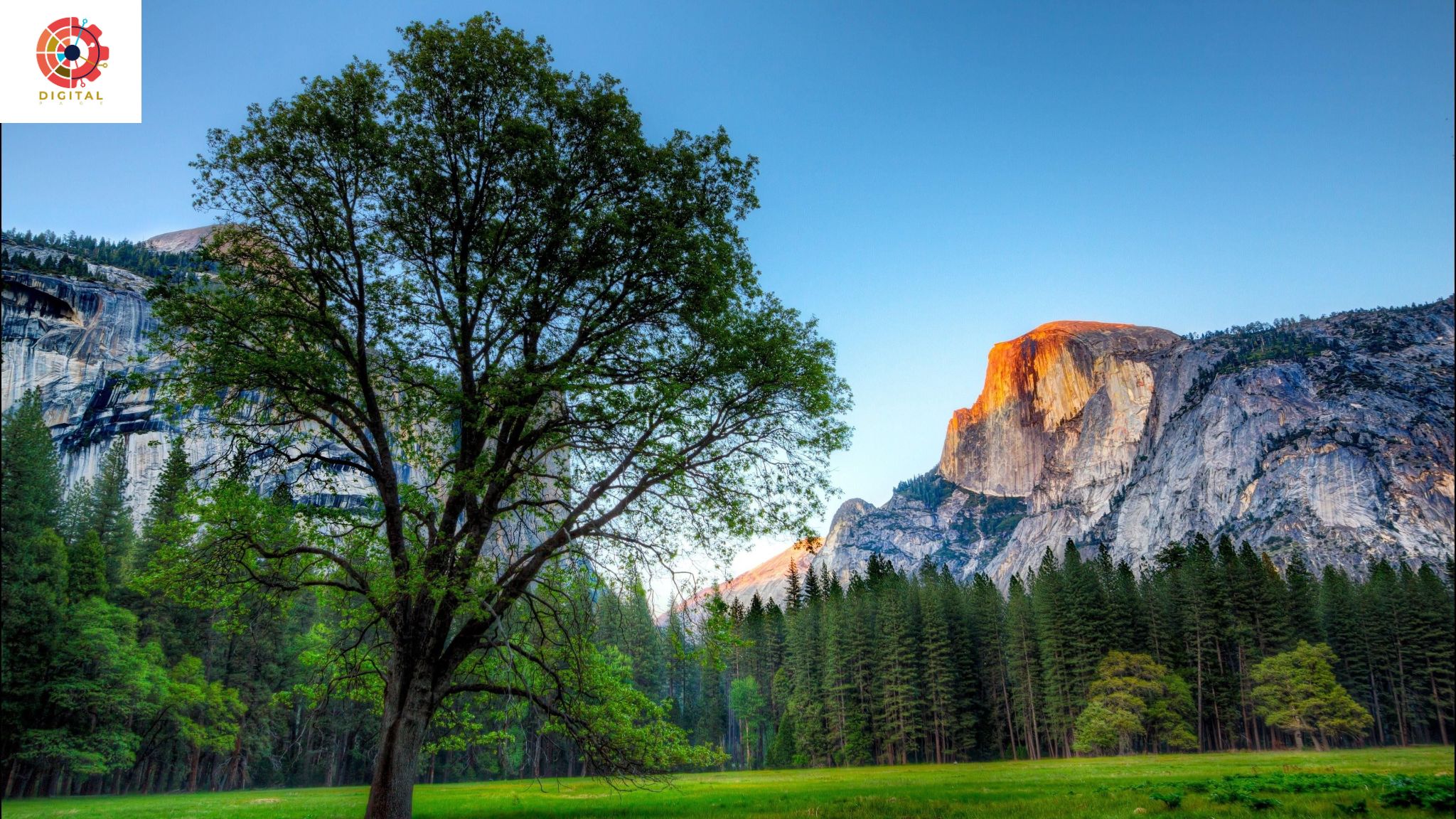 "Yosemite Majesty: Exploring the Iconic Landscapes of America's Crown Jewel"