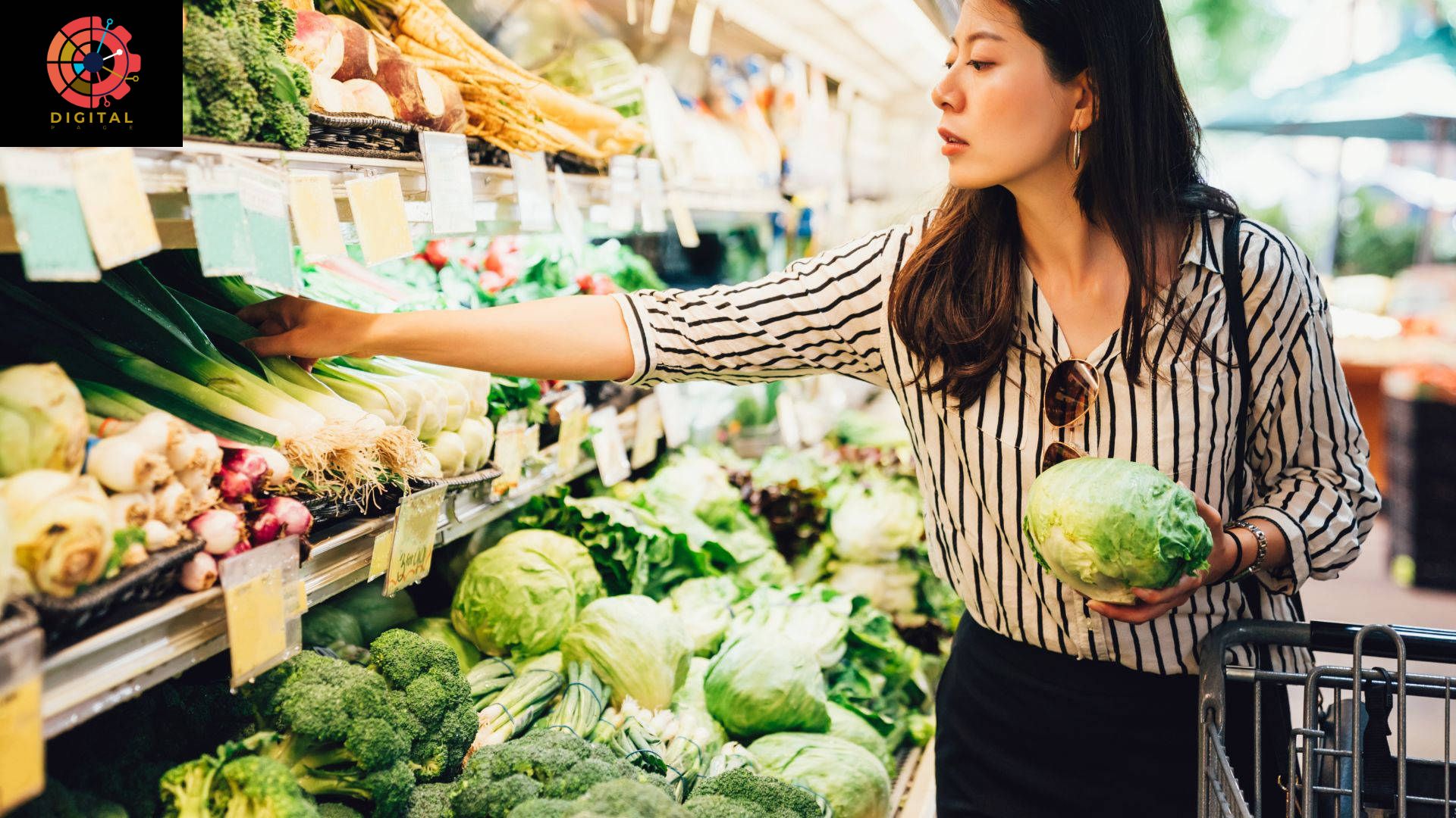 "Grocery Rebates Canada: A Smart Shopper's Guide to Huge Savings!"