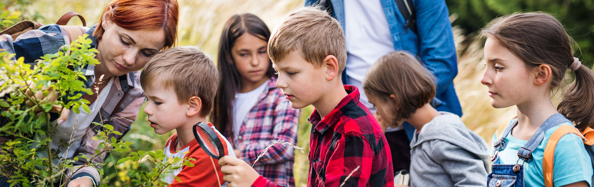 Streamlining Student Field Trip Transportation for an Unforgettable Experience