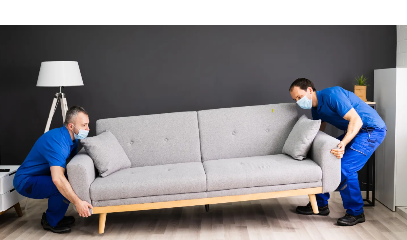 Furniture Movers Near Me in Tampa