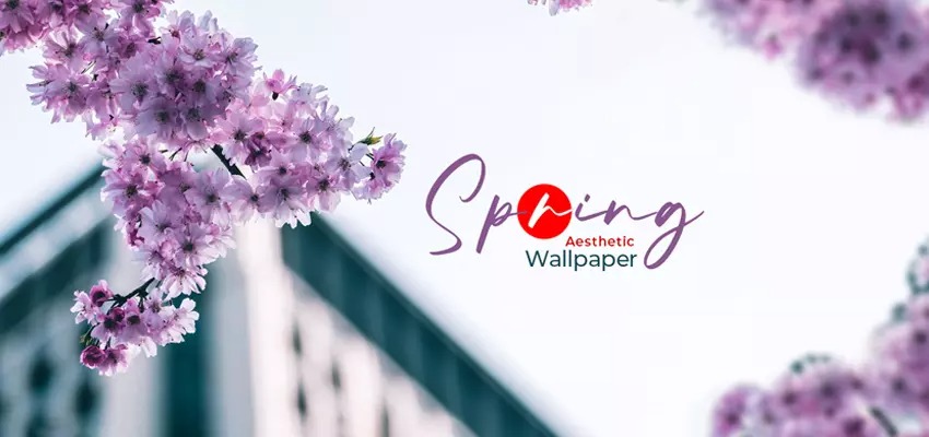 Spring Aesthetic Wallpaper: Best Collections for iPhone, Tablet and PC