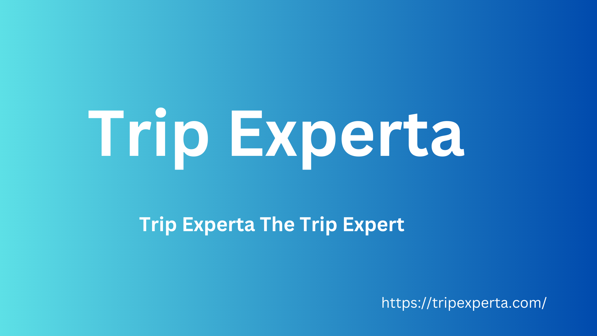 Trip Experta The Trip Expert 