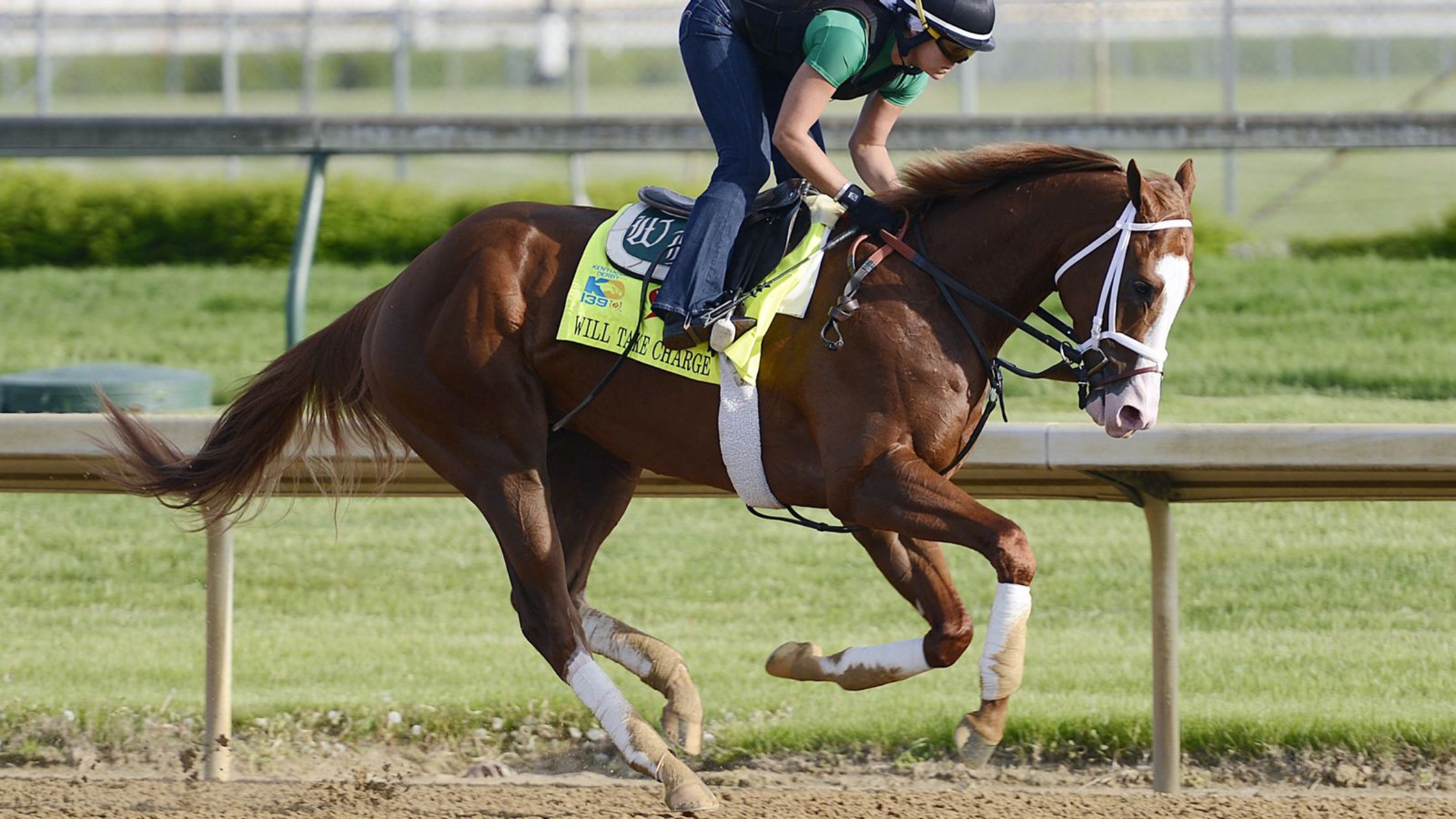 Invest in the Excitement of Horse Racing