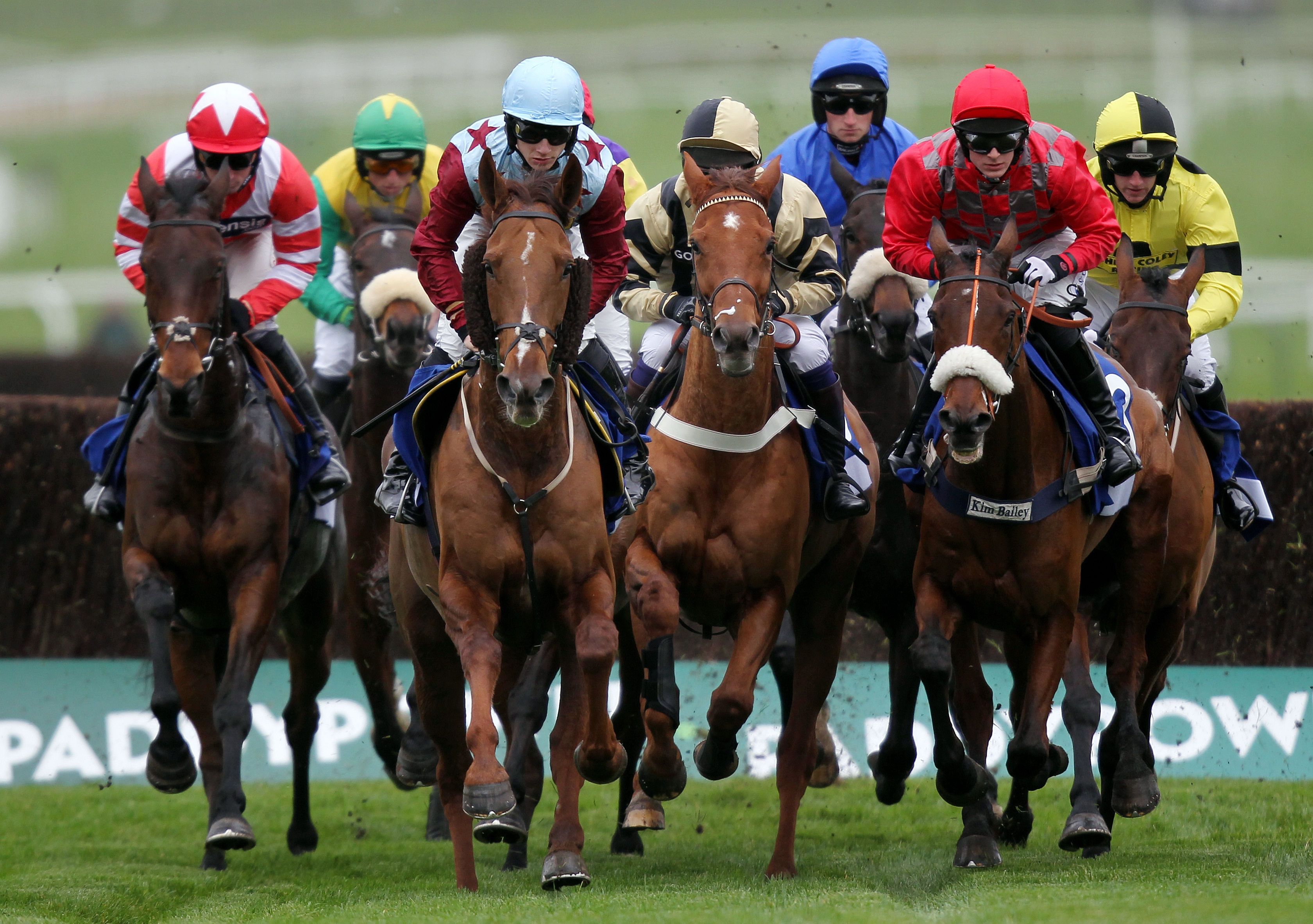 Race Horse Syndicates