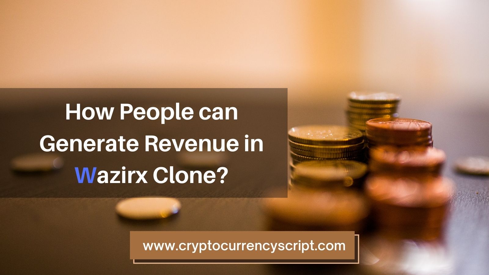 How people can generate revenue in Wazirx clone?