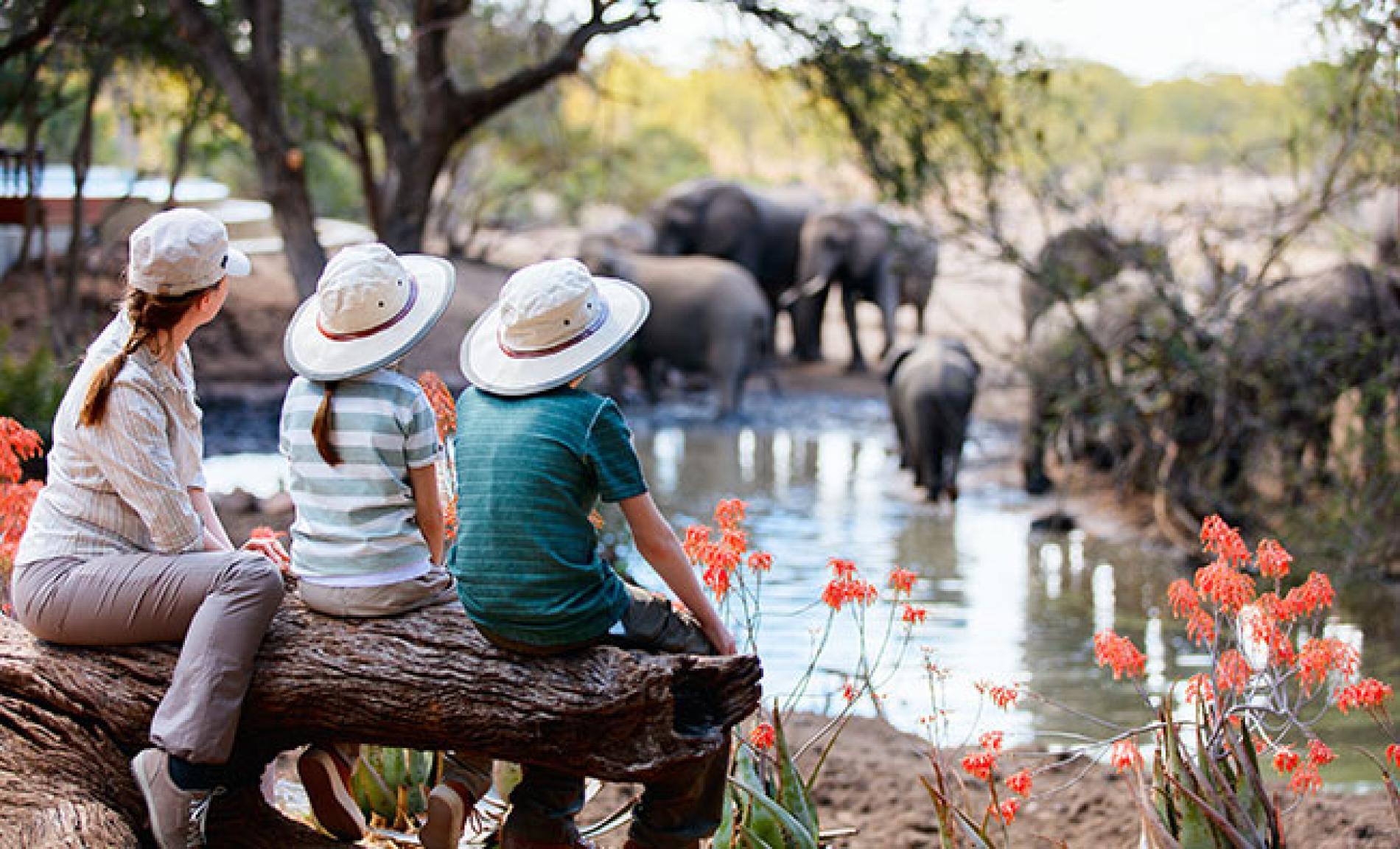 African Safari Packages: Your Ultimate Guide to Planning an Adventure of a Lifetime