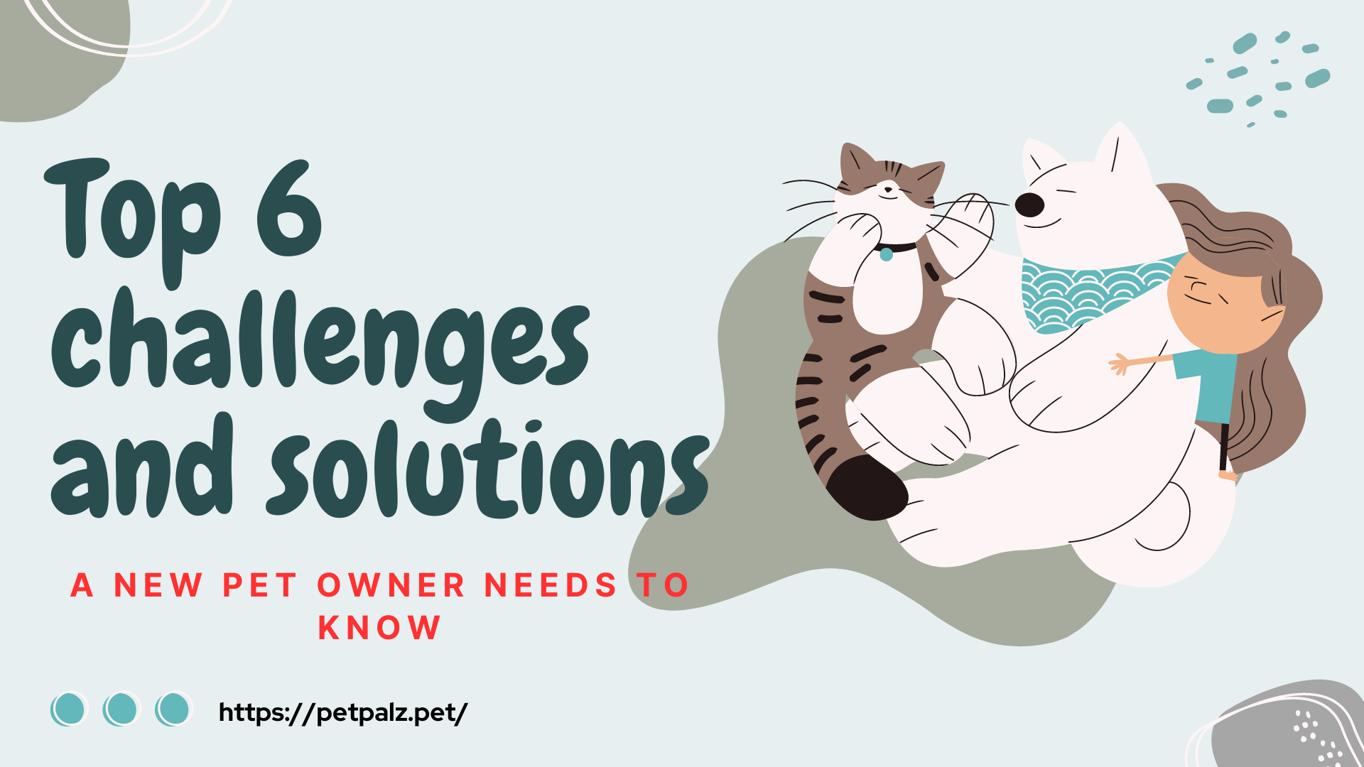 Top 6 Challenges and Solutions a New Pet Owner Needs to Know