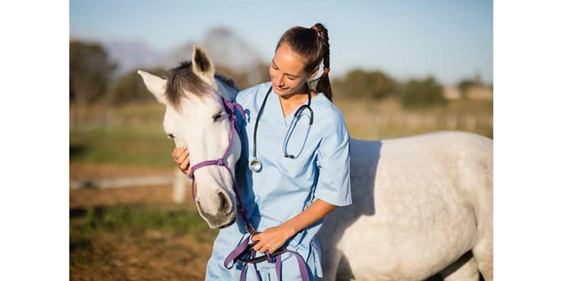 Shielding Furry Friends: Understanding Pet Accident Coverage in Insurance