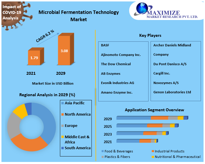 Microbial Fermentation Technology Market Potential Effect on Upcoming Future Growth, Competitive Analysis and Forecast 2029