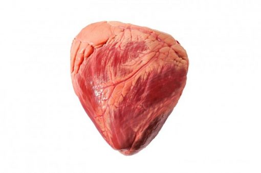 The Best Frozen Beef Hearts in togo — For Your Dog -Dog’s Diet