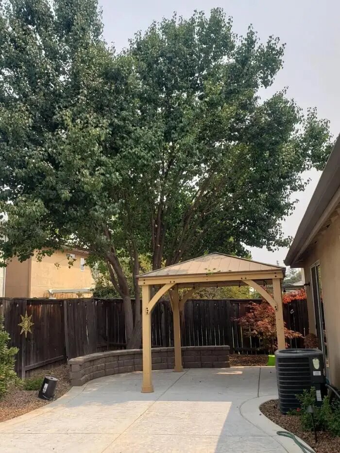 The Importance of Tree Clean-Up After a Storm