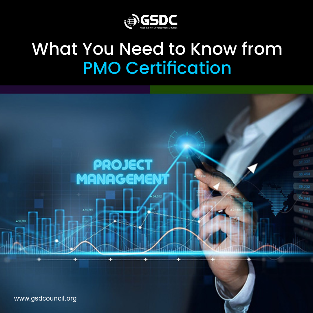 What You Need to Know from PMO Certification
