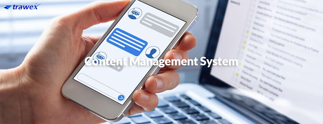 CMS Development Services 