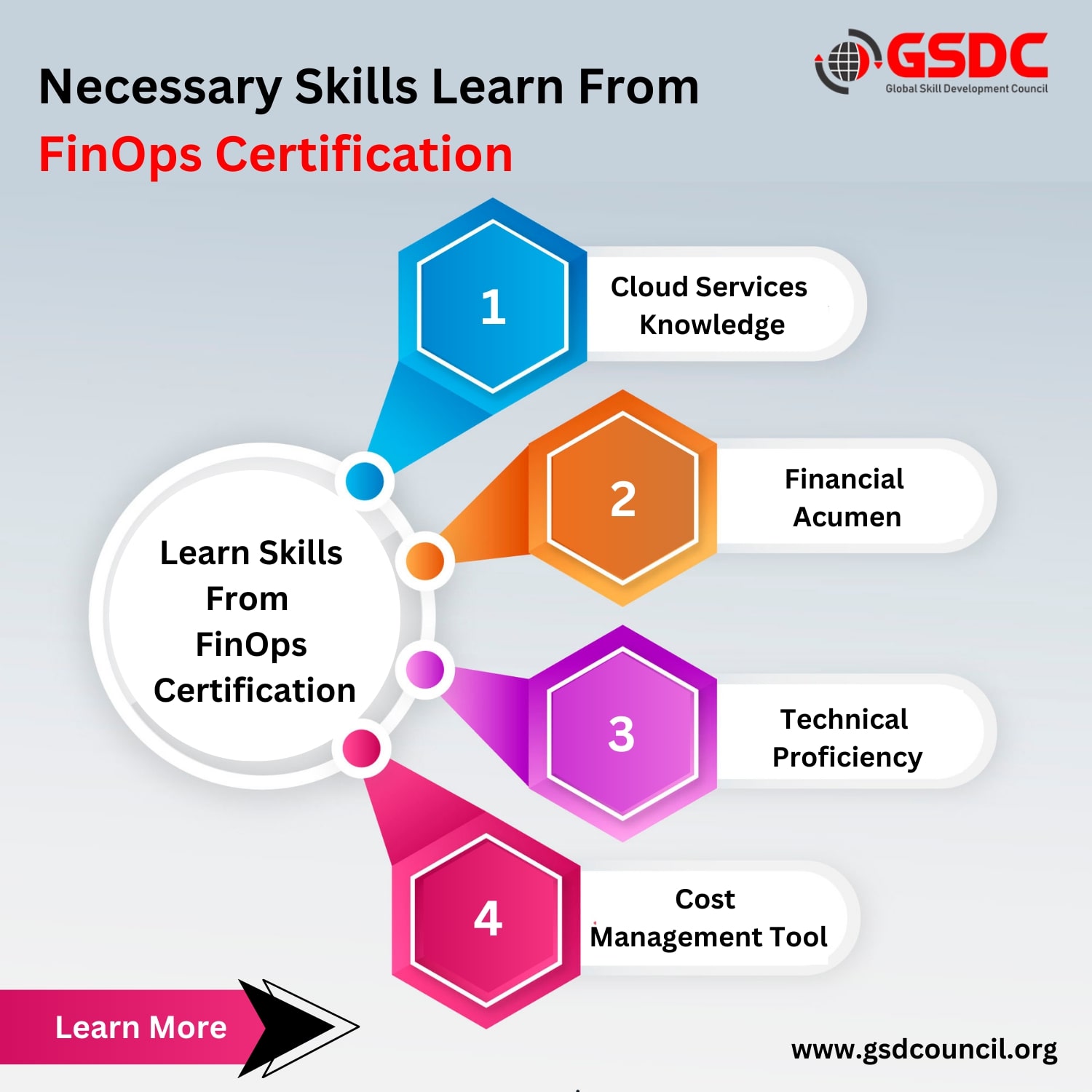 Necessary skills learn from Finops Practitioner Certificate