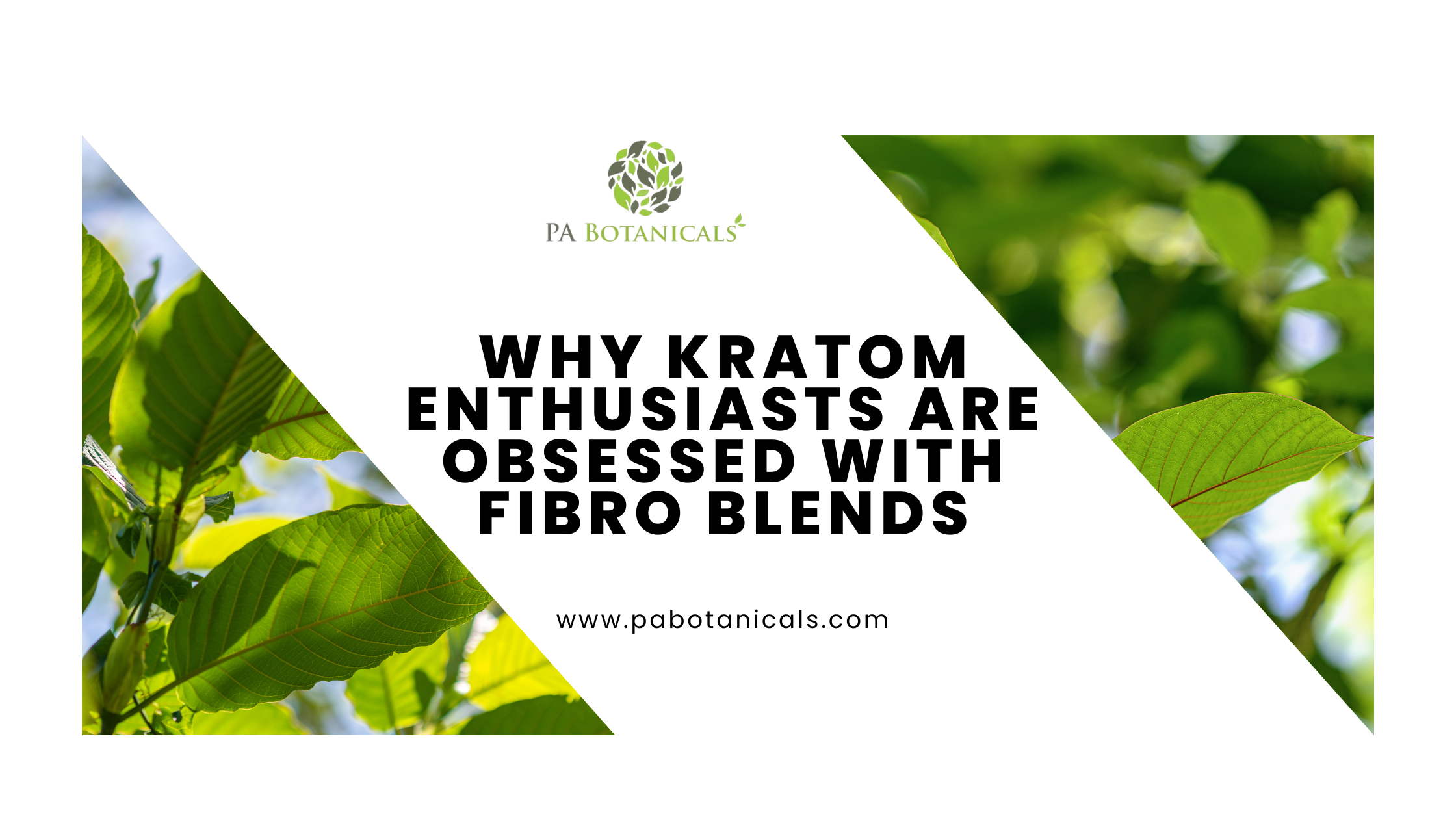 Why Kratom Enthusiasts Are Obsessed with Fibro Blends