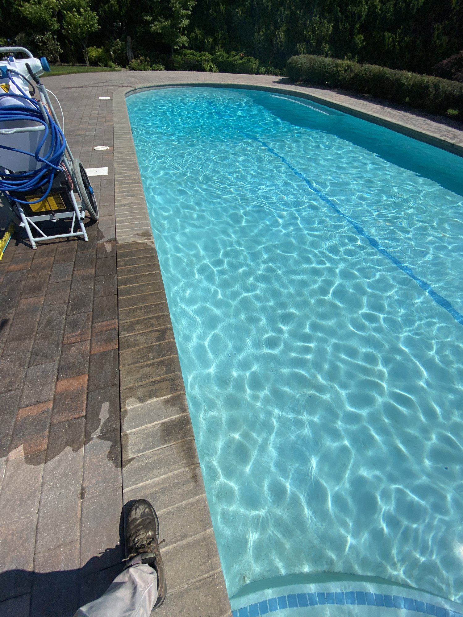 Considerations When Choosing a Swimming Pool Cleaning Company