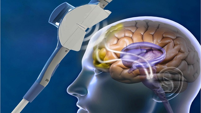 Hyperthermia And Magnetic Driven Drug Delivery Technology Using Magnetic Nanomaterials