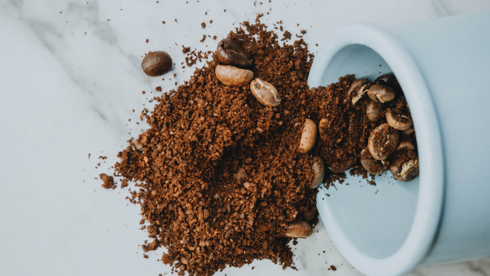 Here are some of our favorite coffee beans in Australia