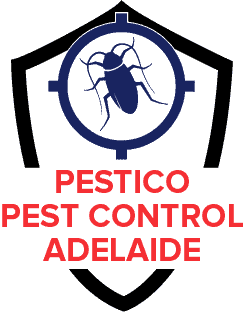 Maintaining a Pest-Free Haven: Understanding the Importance of Pest Control