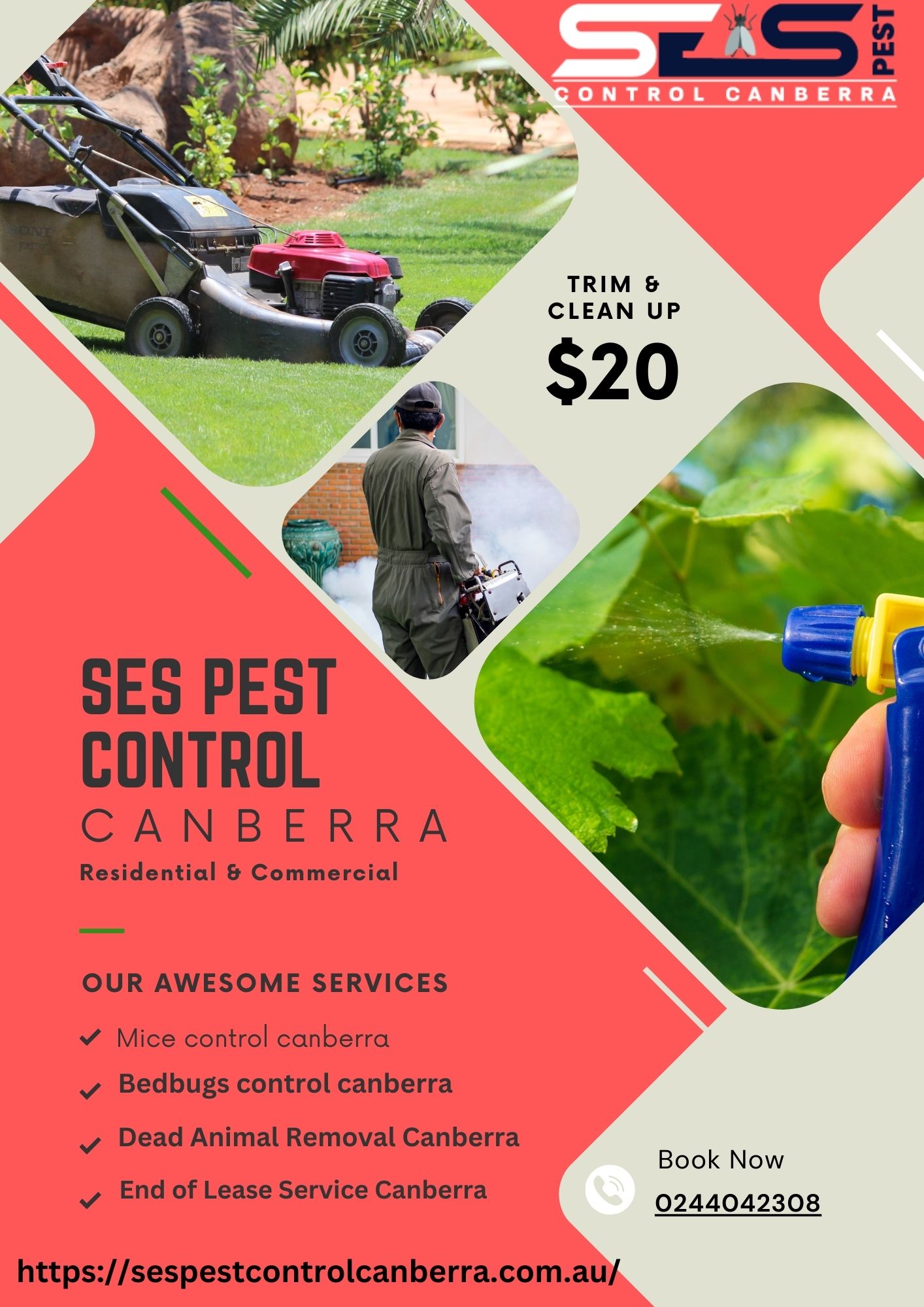 Protecting Your Haven: Comprehensive Pest Control Services in Canberra